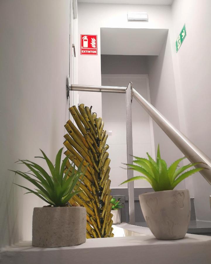 Eres Emerita "Apartamentos & Suites" Mérida Exteriör bild